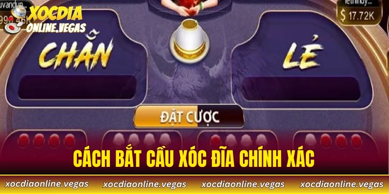 Cách Bắt Cầu Xóc Đĩa Chính Xác