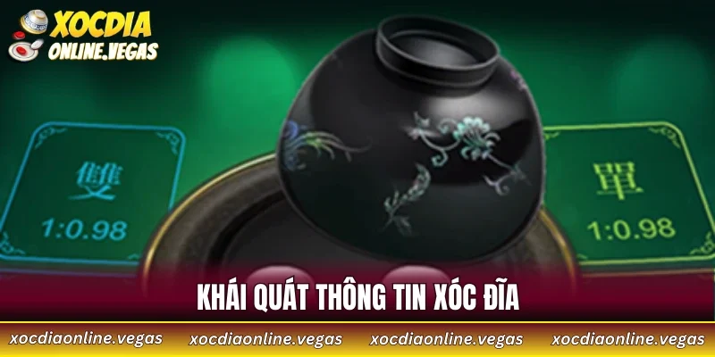 Khái quát thông tin xóc đĩa