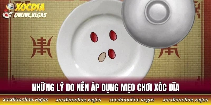 Những lý do nên áp dụng mẹo chơi xóc đĩa