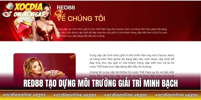 RED88 tạo dựng môi trường giải trí minh bạch