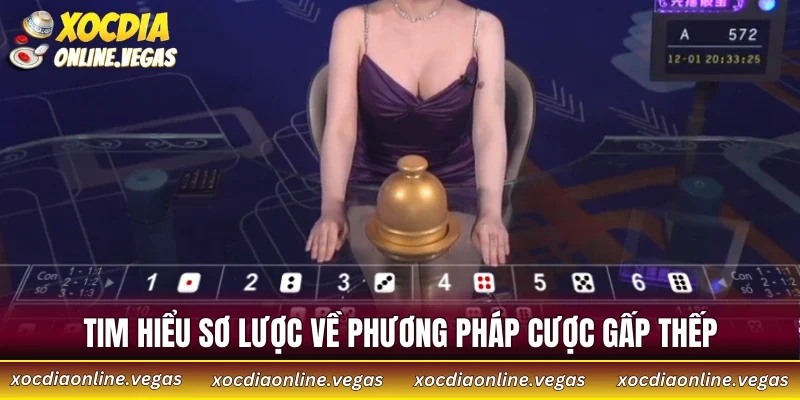 Tìm hiểu sơ lược về phương pháp cược gấp thếp