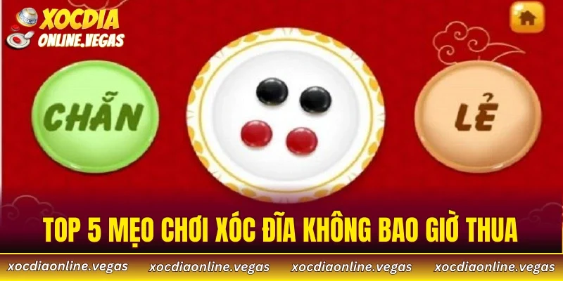 Top 5 Mẹo Chơi Xóc Đĩa Không Bao Giờ Thua