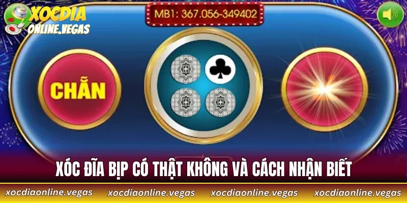 Xóc đĩa bịp có thật không và cách nhận biết